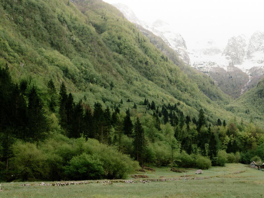 Women Functional tops