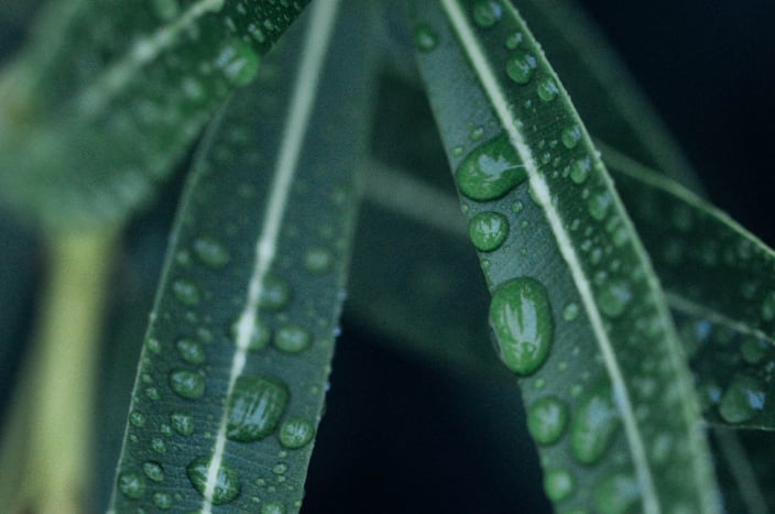 Environmental protection banner